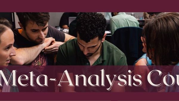 Meta-Analysis Course image